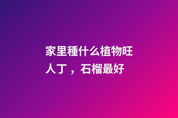 家里種什么植物旺人丁，石榴最好
